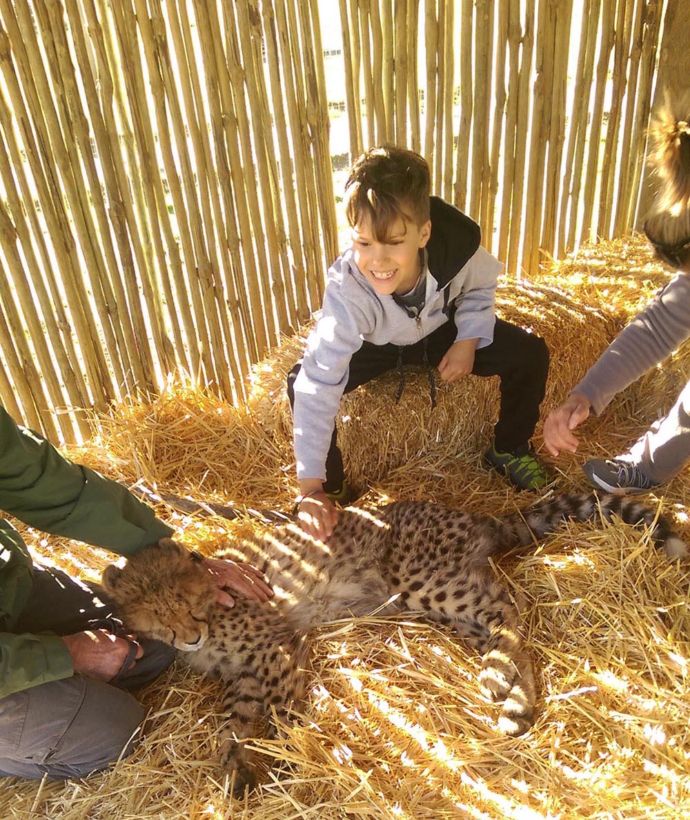 Jurnal de pierde-vară în iarna sud-africană | ziua 13