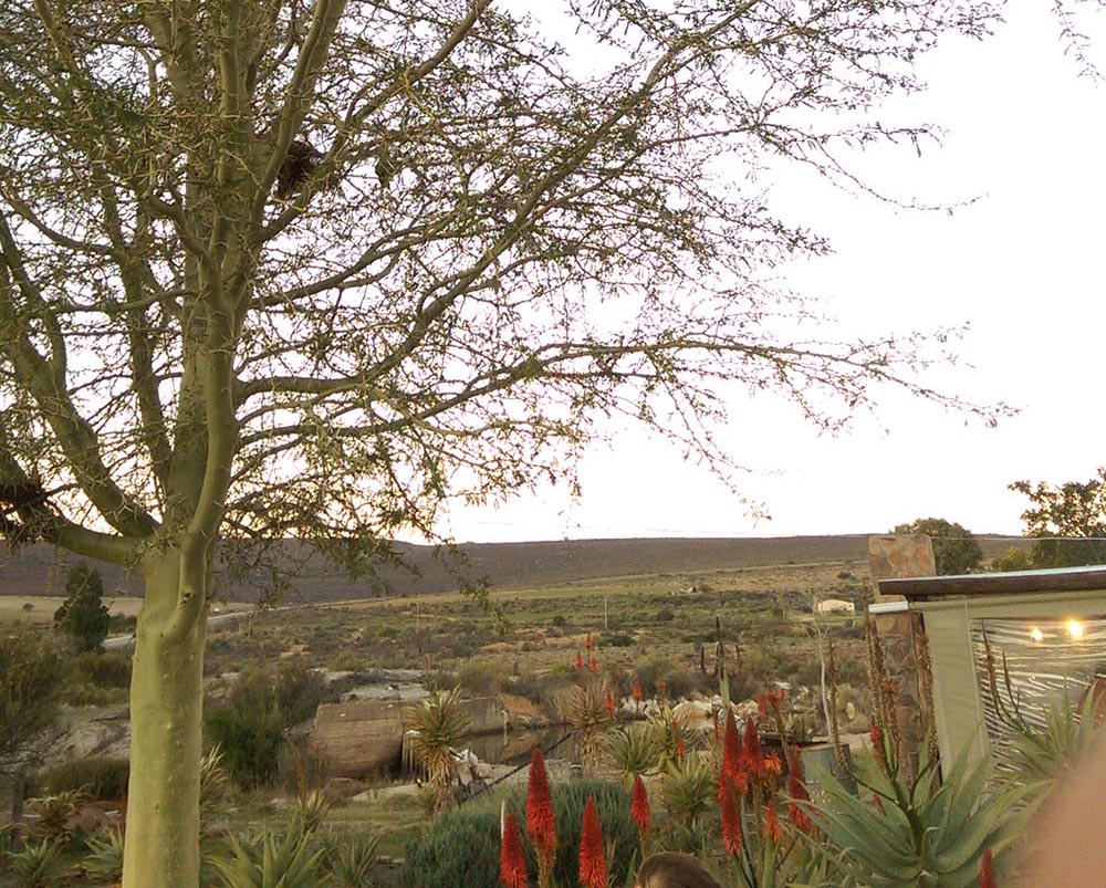 Jurnal de pierde-vară în iarna sud-africană | ziua 15