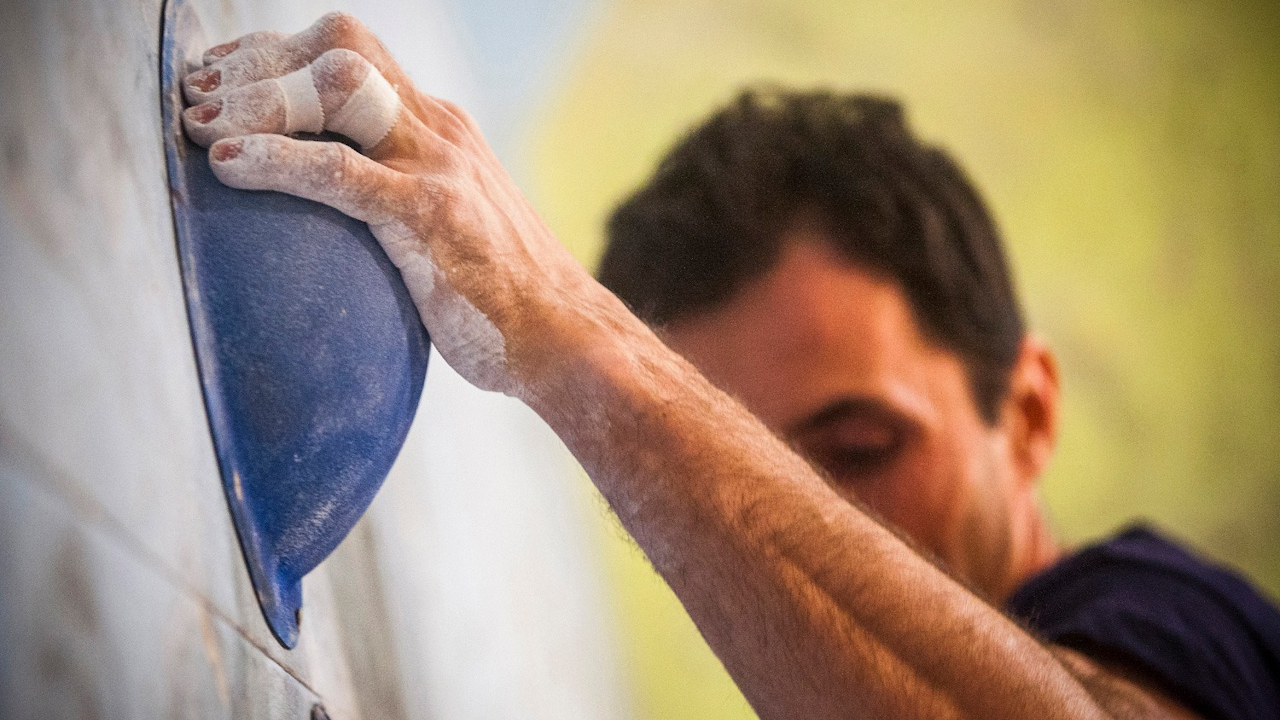 12711320 10153377113395069 1434183471136164138 o