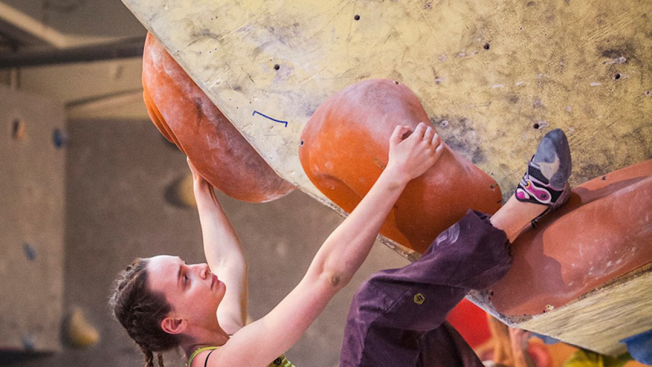 12764425 10153377106455069 971968950061438938 o