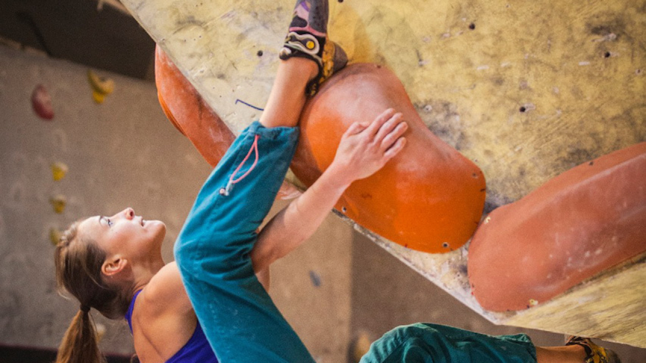 12771977 10153377105990069 8502615755044177818 o