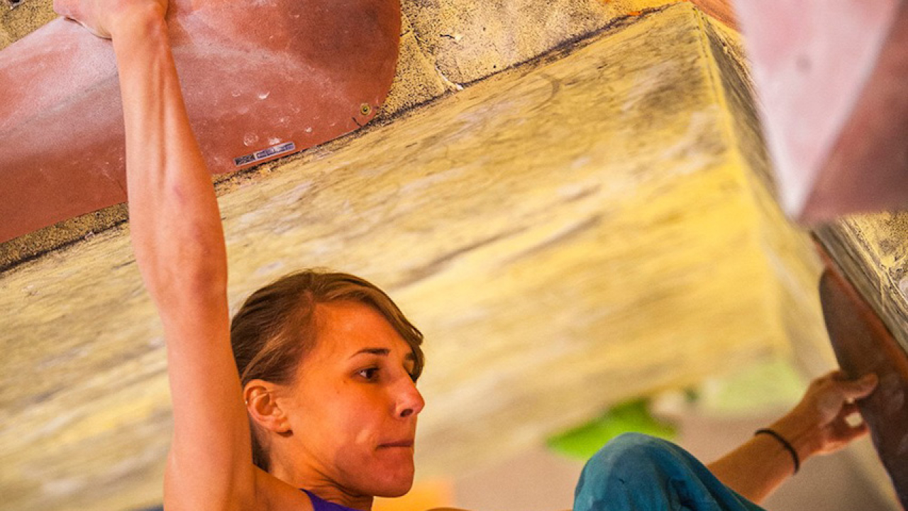 12778937 10153377105630069 4031283571012545848 o