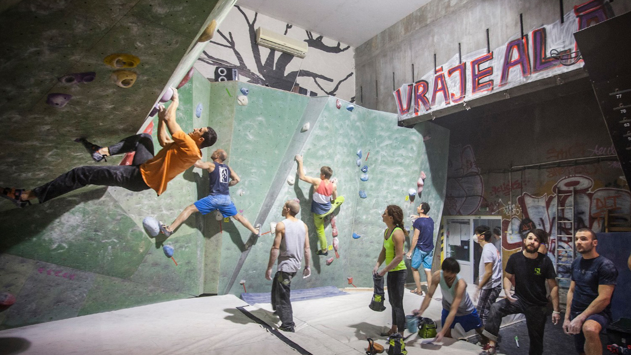 12779007 10153377101125069 5554274008640210240 o