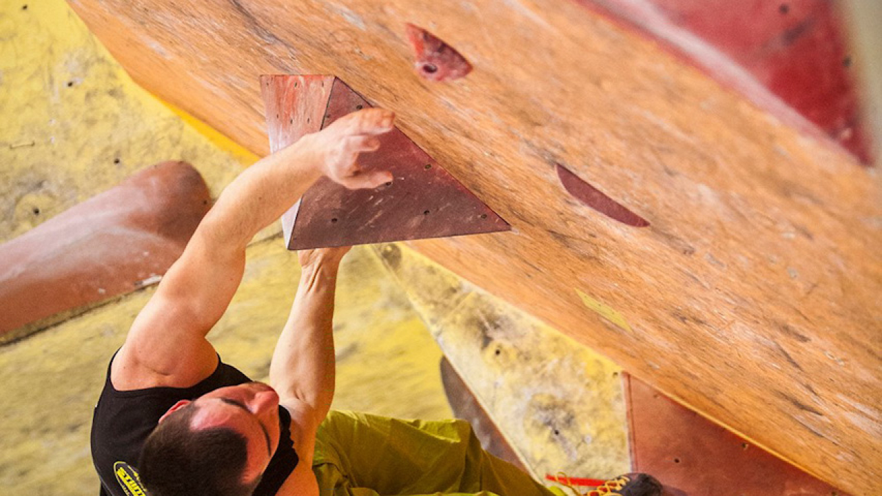 12795060 10153377118250069 7698433725626528246 o