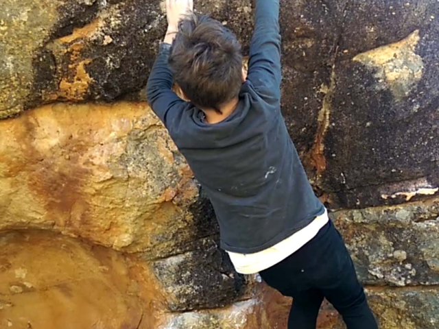 Screenshot 20170727-100806