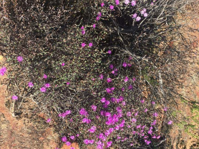 received 1392538480814842